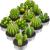 Foreign Trade Popular Style 12 Cactus Candles Simulation Plant Succulent Candles Valentine's Day Tealight