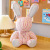 New Kafuu Rabbit Doll Simple Bunny Creative Plush Toy Gifts for Children and Girls Activity Gift