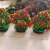 Simulation Chinese Hawthorn Fruit Plant Creative Pot Factory Direct Sales