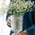 Chuguang Glass Vase Transparent Vase Flower Arrangement Hydroponic Pen Holder Tableware Barrel Multifunctional