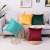 Nordic Solid Color Velvet Pillow Cover Wholesale Bedside Cushion Sofa Nap Pillow Bed Office Waist Cushion