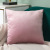 Solid Color Velvet Pillow Cover Throw Pillowcase Sofa Cushion Plush Wholesale Amazon Cross-Border Home Netherlands Velvet