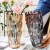 Light Luxury Thickening Crystal Glass Vase Living Room Decoration Lucky Bamboo Flowers Hydroponic Vase Desktop Modern Decorations
