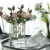 European-Style Simple Footprints Crystal Glass Vase Living Room Internet Celebrity Light Luxury Decoration Home Decoration Rose Hydroponic Flower