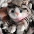 Amazon Hot Cute Kitty Doll Doll Plush Toy