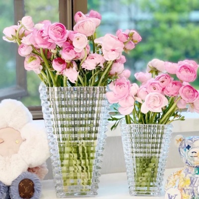 Bacala Crystal Glass Vase Factory Direct Sales Glass Vase Water Plant Home Living Room Decoration Ornaments