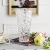 Light Luxury European Ice Crystal Glass Vase Transparent Foreign Trade Wholesale Modern Ins Style Vase Table Decoration