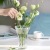 Light Luxury Transparent Crystal Glass Vase European Hydroponic Green Dill Flower Planting Flower Illustration Creative Living Room Decorative Flower Vase