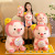 Online Influencer Cute Lollipop Pig Doll Cross-Border New Plush Toy Child Comfort Sleeping Pillow Large
