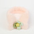 South Korea Classic Style Pansy Hair Band Internet Celebrity Girly Sweet Plush Headband out Swing Shot Cute Hair Accessories