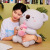 Cross-Border New Arrival Milk Tea Koala Plush Toy Doll Cartoon Cute Soft Koalas Pillow Children Doll