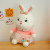 New Ball Rainbow Rabbit Plush Toy Doll Cute Sweetheart Rabbit Doll Doll Birthday Gift Mall Wholesale