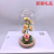 Factory Direct Sales Cartoon Luminous Rose Glass Cover Flower Festival Gift Decoration