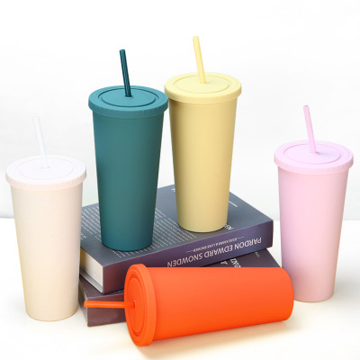 New Modern Minimalist Water Cup Internet Celebrity Frosted Cartoon Portable 650ml Double-Layer Cup with Straw Spot Stock