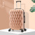 New Bird's Nest Pattern Luggage Men's and Women's Travel Password Suitcase Foreign Trade Abroad Trolley Case Universal Wheel Leather Case Wholesale Tide