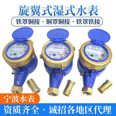 Rotary Wing Wet Copper Water Meter DN15/20/25 Tap Water Household Water Meter Thread 4 Points 6 Points 1 Inch