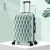 New Bird's Nest Pattern Luggage Men's and Women's Travel Password Suitcase Foreign Trade Abroad Trolley Case Universal Wheel Leather Case Wholesale Tide