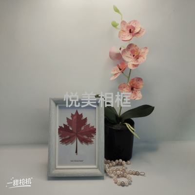 Density Board Plastic Metal Glass Craft Photo Frame