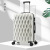 New Bird's Nest Pattern Luggage Men's and Women's Travel Password Suitcase Foreign Trade Abroad Trolley Case Universal Wheel Leather Case Wholesale Tide