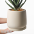 Nordic Style Plain Burning Ceramic Flower Pot Fashion Simple Artistic Personality Indoor Fake Flower Green Radish Bonsai Cactus
