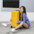 Fashion Luggage Female Online Influencer Ins New Good-looking Trolley Case Travel Password Suitcase Boarding Suitcase Wholesale