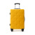 Fashion Luggage Female Online Influencer Ins New Good-looking Trolley Case Travel Password Suitcase Boarding Suitcase Wholesale