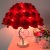 for Girls Crystal Lamp Creative Wedding Room Decoration Changming Girlfriends Warm Roses Wedding Birthday Gifts