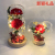 Factory Direct Sales 2022 Mother's Day Carnation Glass Cover LED Lamp Preserved Fresh Flower