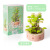 Building Blocks Succulent Potted Flower Plant Desktop Decoration Model Small Particle Building Blocks Assembling Children's Toys