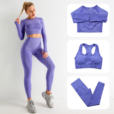 Cross-Border Fitness Sports Tights Yoga Suit Three-Piece Bra Long-Sleeved Trousers Bra Seamless Yoga Suit