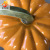 Halloween Simulation Painted Creative Pumpkin Sculpture FRP Decoration Outdoor Landscaping Lawn Art Gallery