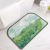 American Oil Painting Diatom Ooze Floor Mat Bathroom Non-Slip Floor Mat Water-Absorbing Quick-Drying Silicone Mud Diatomite Door Mat