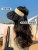 Summer Sun Protection Hat UV Protection Cover Face Topless Hat Sun Hat Female Straw Hat Shell-like Bonnet Summer Summer Hat