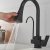 Copper Kitchen Fresh Water Tap Brass Kitchen Faucet Black Spray Paint Double Water Full Copper Electroplating Kitchen Pullout Faucet