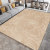 Living Room Carpet Ins Nordic Style Table Carpet Home Full-Bed Disposable Girly Bedroom Bedside Blanket Large Area Floor Mat