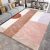Carpet Living Room Light Luxury Advanced 2022 New Bedroom Bedside Blanket Room Full Bed Coffee Table Home Ground Mat Large Area