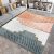 Carpet Living Room Light Luxury Advanced 2022 New Bedroom Bedside Blanket Room Full Bed Coffee Table Home Ground Mat Large Area