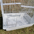 Beautiful Pet Bird Cage Parrot Cage Environmental Protection Safety Bird Cage