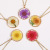 Japanese and Korean Temperamental Elegant Ornament round Hanging Women's Pendant Necklace Gold SUNFLOWER Ornament in Stock
