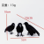 Pastoral Style Decoration Crow, Halloween Scene Layout Crow, Ghost Festival Props, Simulation Feather Birds