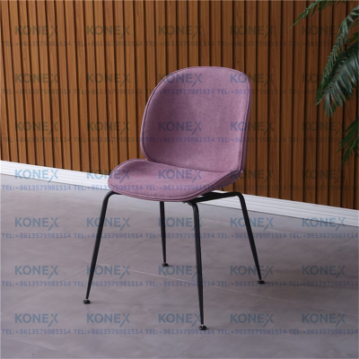 Dining Chair SimpleMake-up Chair Beetle Chair Backrest Household Bedroom Leisure Chair Internet Celebrity Cosmetic Chair