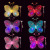 Light-Emitting Butterfly Wings Three-Piece Suit Chinese New Year Decoration Props Children's Toys Stall Supply Hot Sale