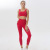 European and American Seamless Sports Bra Beauty Back and Push up Shaping Running Quick-Drying Slimming Hip Fitness Pants Yoga Suit