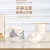 Airplane Cup Drinking Cup Conference Cup Creative Cup Health Bottle Afternoon Tea Cup Tea Cup Cartoon Single Cup Office Cup