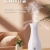 Automatic Aerosol Dispenser Air Freshing Agent Household Bedroom Hotel Toilet Lasting Deodorant Air Fresh Aroma Diffuser