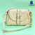 Factory Direct Sales Trendy Crossbody Bag 2022 Spring New Women's Chic Bag Western Style French Underarm Shoulder Bag