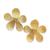 European and American Style Design Fashion Five-Petal Flower Stud Earrings Gold Light Luxury Fresh Earrings Ladies Trending Earrings Spot