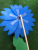 New Factory Direct Sales Double-Layer Sunflower Windmill Garden Activity Decoration Wooden Pole Windmill Hand-Held and Ground-Inserted