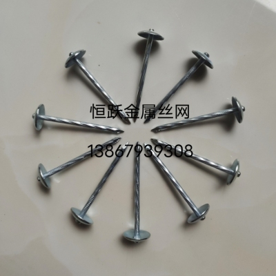 Roofing Nail Galvanized Roofing Nail Roofing Nail