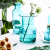 LD Ins Blue Simple Glass Vase Hydroponic Craft Flower Home Decoration Glass Bottle Table Decoration